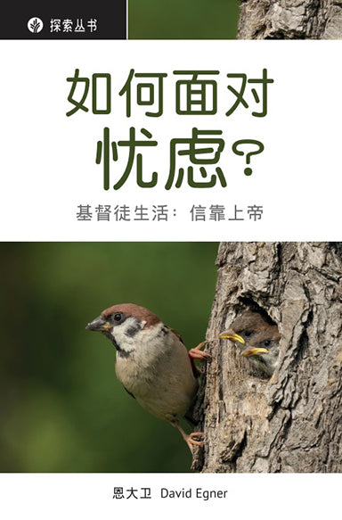 如何面对忧虑?│Overcoming Worry (Simplified Chinese Discovery Series booklet)