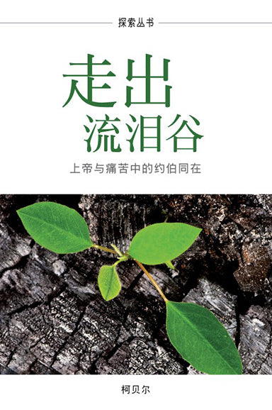 走出流泪谷 │Out Of Ashes (Simplified Chinese Discovery Series Booklet)
