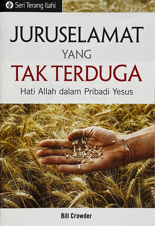 Juruselamat Yang Tak Terduga (Seri Terang Ilahi)│Scandalous Savior (Indonesian Discovery Series Booklet)