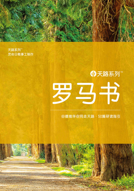 天路系列 - 罗马书 Journey Through: Romans (Simplified Chinese)