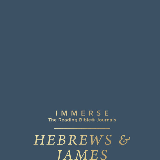 Book cover of 'Hebrews & James' from 'Immerse: The Reading Bible Journals' on a blue background