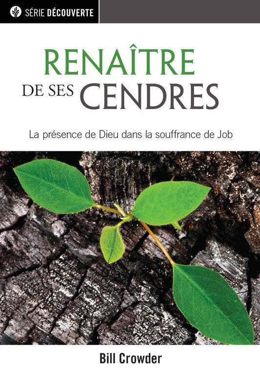 Renatre de ses cendres (Série Découverte)