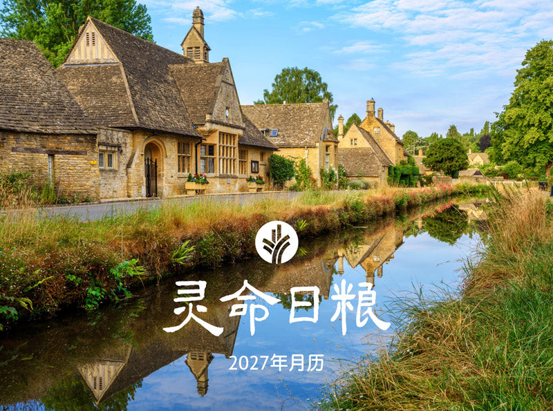 简体中文 / Simplified Chinese