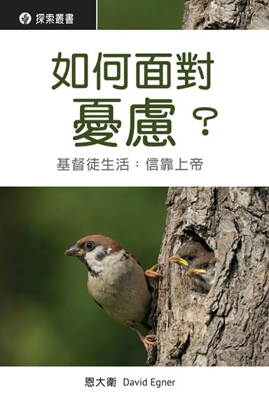 如何面對憂慮？│Overcoming Worry (Traditional Chinese Discovery Series booklet)