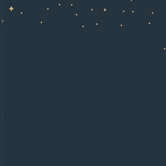 Dark blue back cover with gold star pattern in 'Count Your Blessings: 365-Day Devotional" book from Our Daily Bread Ministries
