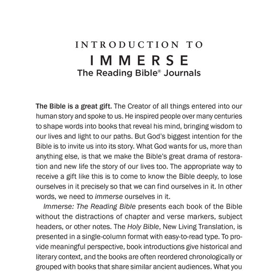 Introduction page to 'Hebrews & James' from 'Immerse: The Reading Bible Journals'