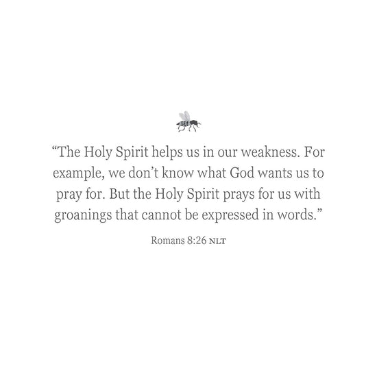 Romans 8:26 about the Holy Spirit helping in times of weakness in the book 'mourning glories' by Marilyn Nutter, with a white background.