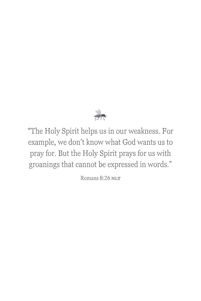 Romans 8:26 about the Holy Spirit helping in times of weakness in the book 'mourning glories' by Marilyn Nutter, with a white background.