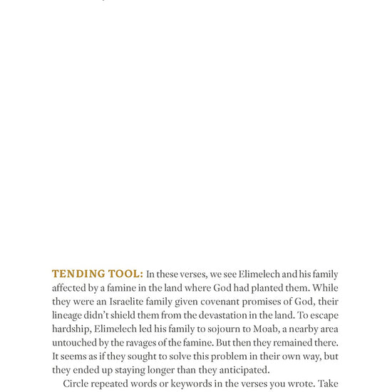 Text page about examining the Scriptures with instructions and examples plus space to write from 'Ruth: Finding Grace in the Unexpected' in the Tend Your Soul Bible Study Series by Mariel Davenport