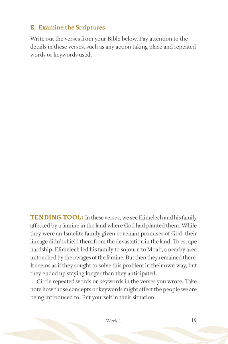 Text page about examining the Scriptures with instructions and examples plus space to write from 'Ruth: Finding Grace in the Unexpected' in the Tend Your Soul Bible Study Series by Mariel Davenport