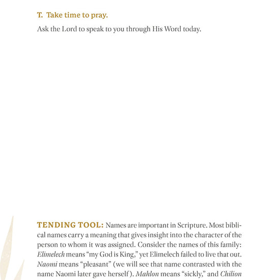 Text about Day 1 and taking time to pray from 'Ruth: Finding Grace in the Unexpected' in the Tend Your Soul Bible Study Series by Mariel Davenport
